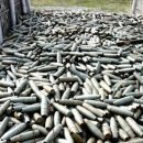 Читати уважно! Новорічний феєрверк і ми! Читати уважно! Новорічний феєрверк і ми!